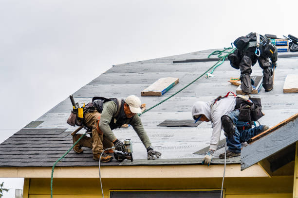 Professional Storm Damage Roof Repair technician working in Yoder, CO